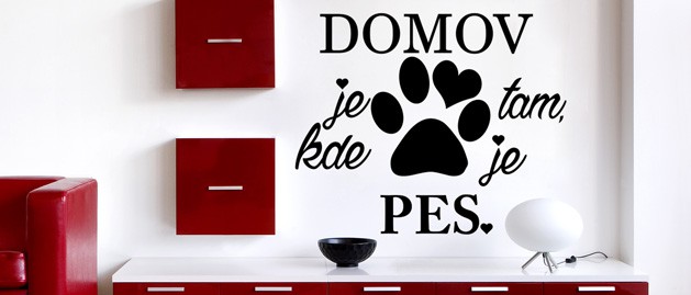 domov a pes