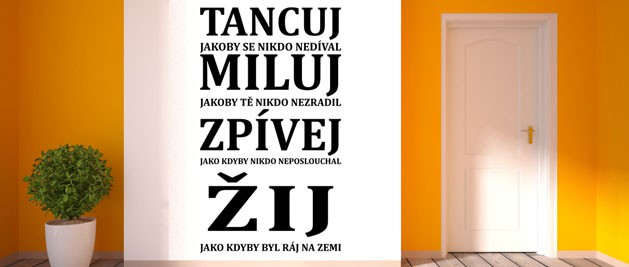 tancuj miluj zpvej