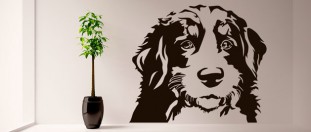 Samolepka na stenu bernský salašnícky pes, polep na stěnu a nábytek